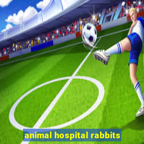 animal hospital rabbits